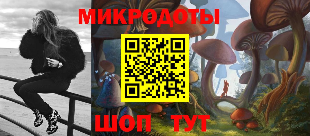 Галлюциногенные грибы мухоморы Междуреченск